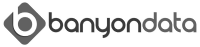 Banyon Data